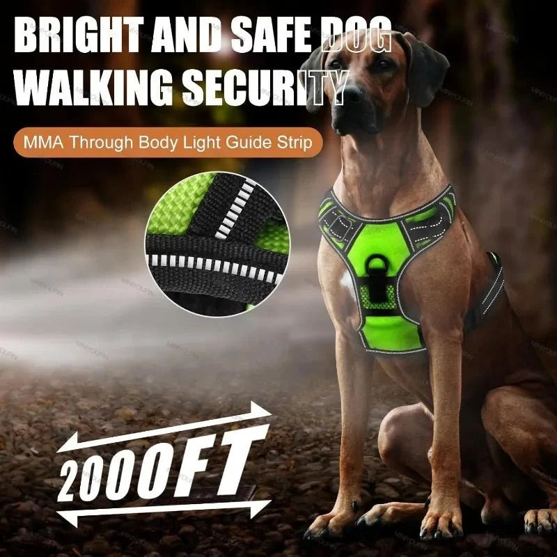 Dog Harness Rechargeable LED Lights Adjustable Fit