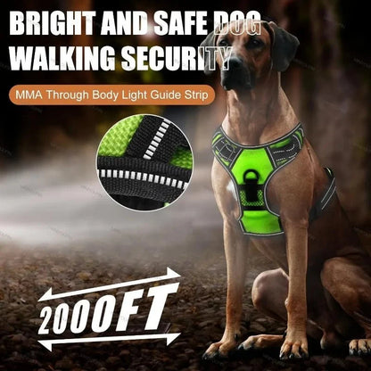 Dog Harness Rechargeable LED Lights Adjustable Fit
