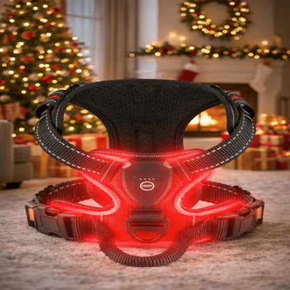 Dog Harness Rechargeable LED Lights Adjustable Fit