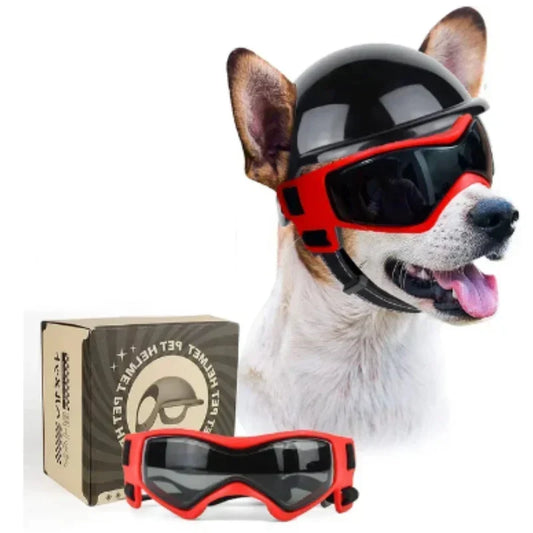 Dog Helmet & Goggles Adjustable Straps Polycarbonate Lenses