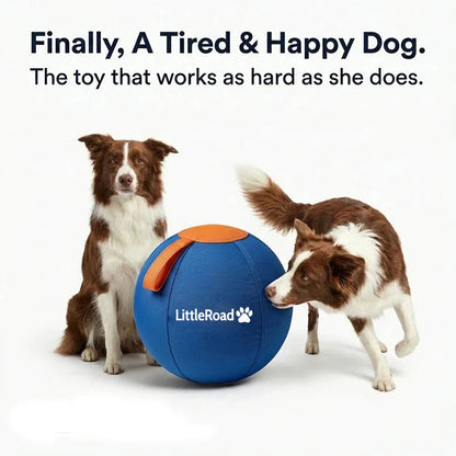 Dog Herding Ball Puncture-Resistant Shell Pump Included