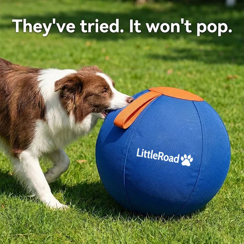 Dog Herding Ball Puncture-Resistant Shell Pump Included
