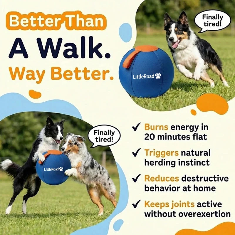 Dog Herding Ball Puncture-Resistant Shell Pump Included