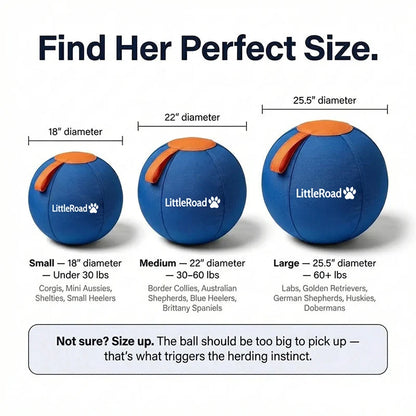 Dog Herding Ball Puncture-Resistant Shell Pump Included