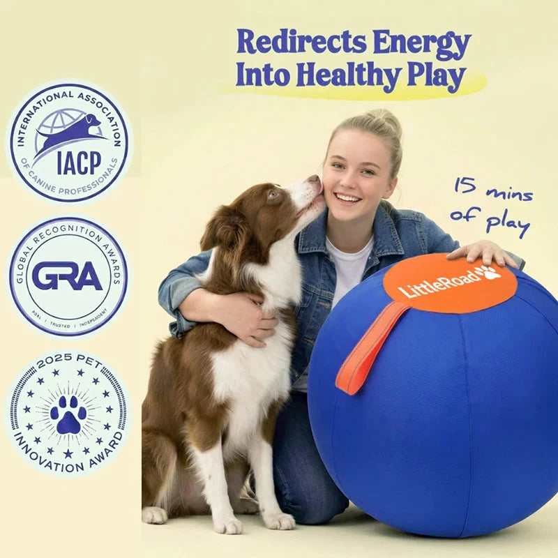 Dog Herding Ball Puncture-Resistant Shell Pump Included