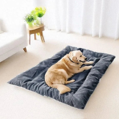 Dog Mat Thick Plush Padded Comfort Easy-Care Material