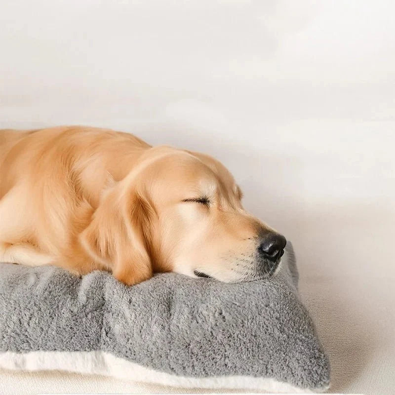 Dog Mat Thick Plush Padded Comfort Easy-Care Material