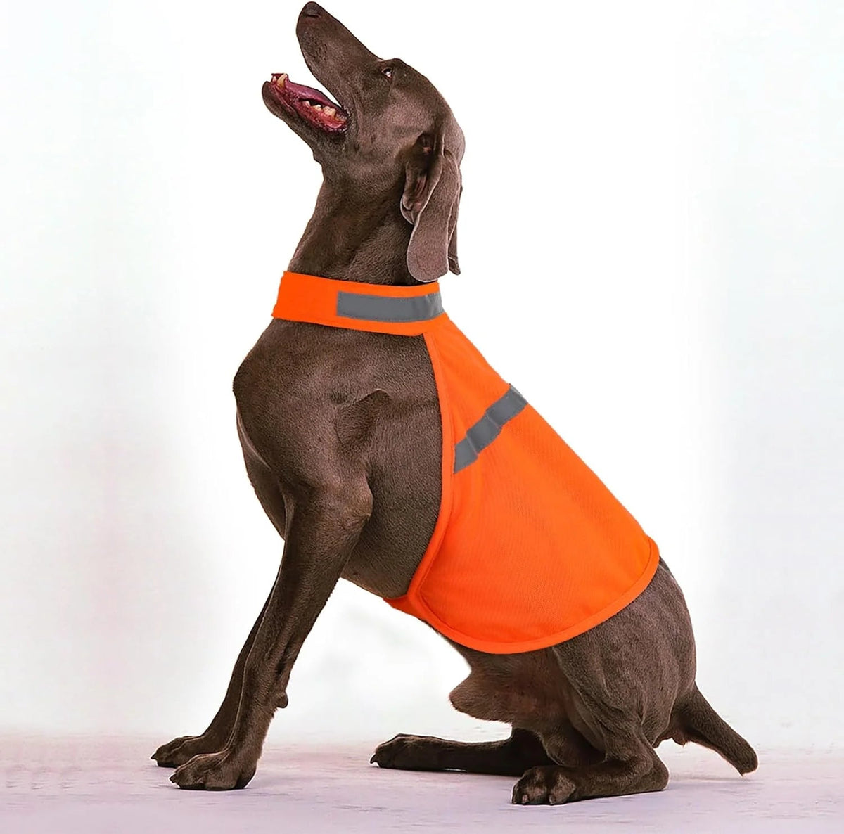 Dog Safety Vest Reflective Strips & Adjustable Straps