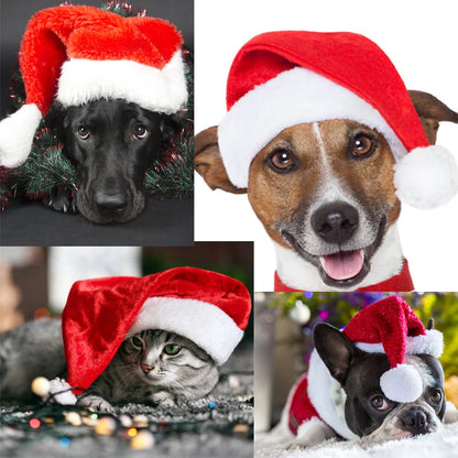 Dog Santa Hat Plush Adjustable Festive Fit
