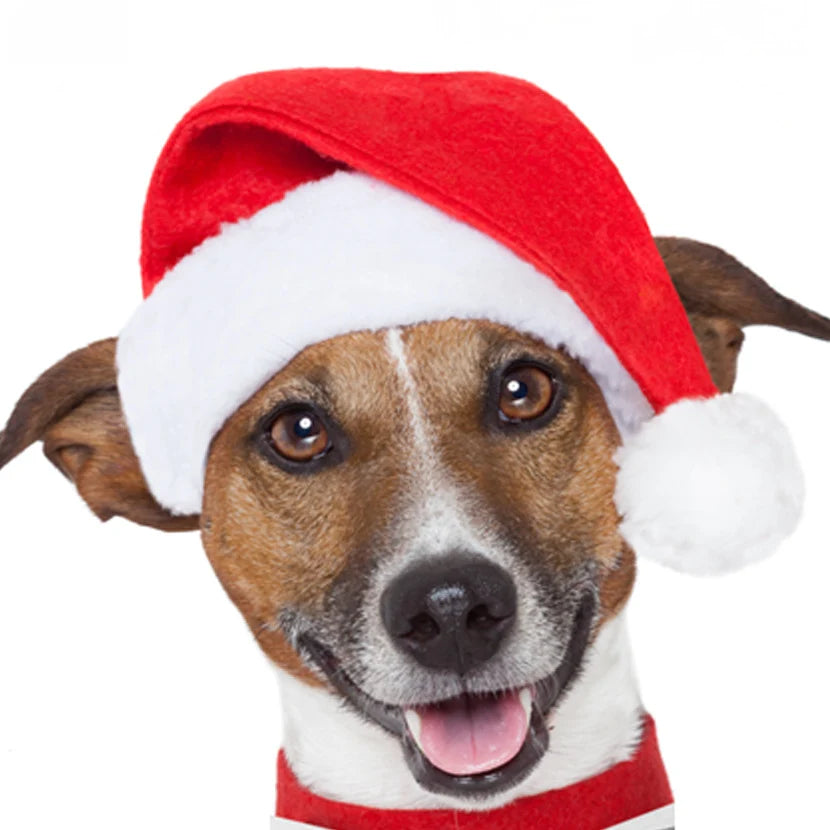 Dog Santa Hat Plush Adjustable Festive Fit