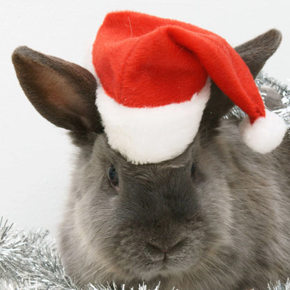 Dog Santa Hat Plush Adjustable Festive Fit