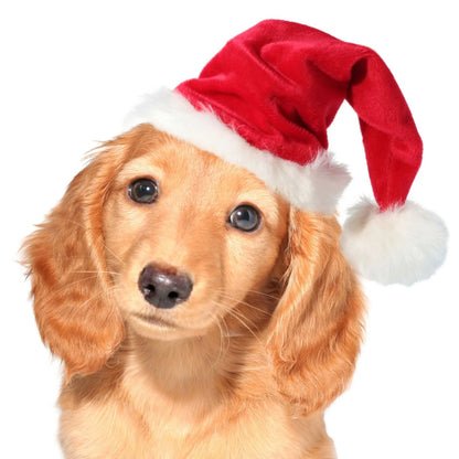 Dog Santa Hat Plush Adjustable Festive Fit