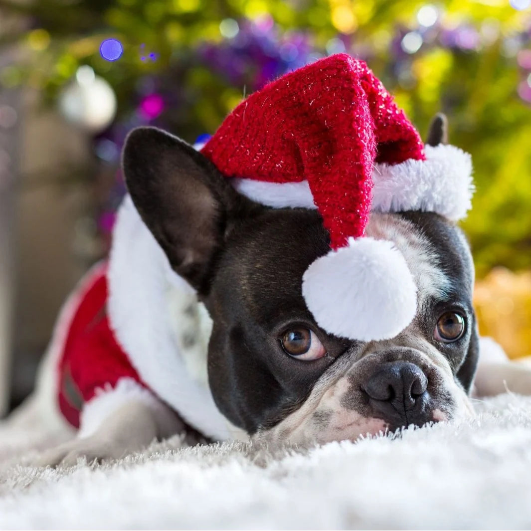 Dog Santa Hat Plush Adjustable Festive Fit