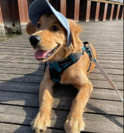 Dog Sun Hat UV Protection Adjustable Strap