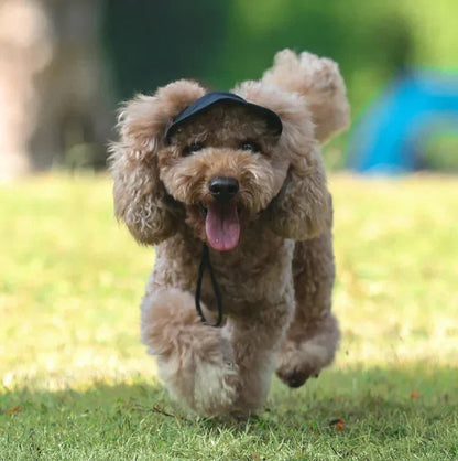 Dog Sun Hat UV Protection Adjustable Strap