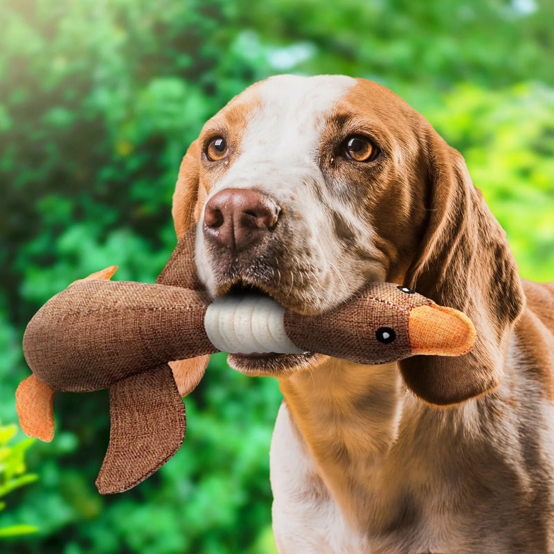 Dog Toy Chew-Resistant Non-Toxic Squeaker