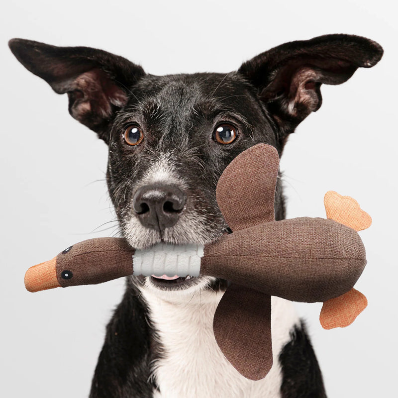 Dog Toy Chew-Resistant Non-Toxic Squeaker