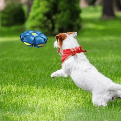 Dog Toy Convertible Disc & Ball Durable Non-Toxic
