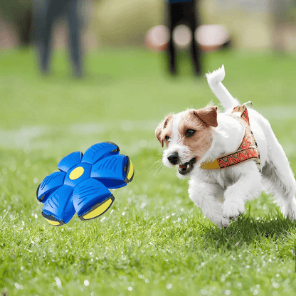 Dog Toy Convertible Disc & Ball Durable Non-Toxic