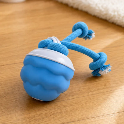 Dog Toy Interactive Rolling Ball USB Rechargeable