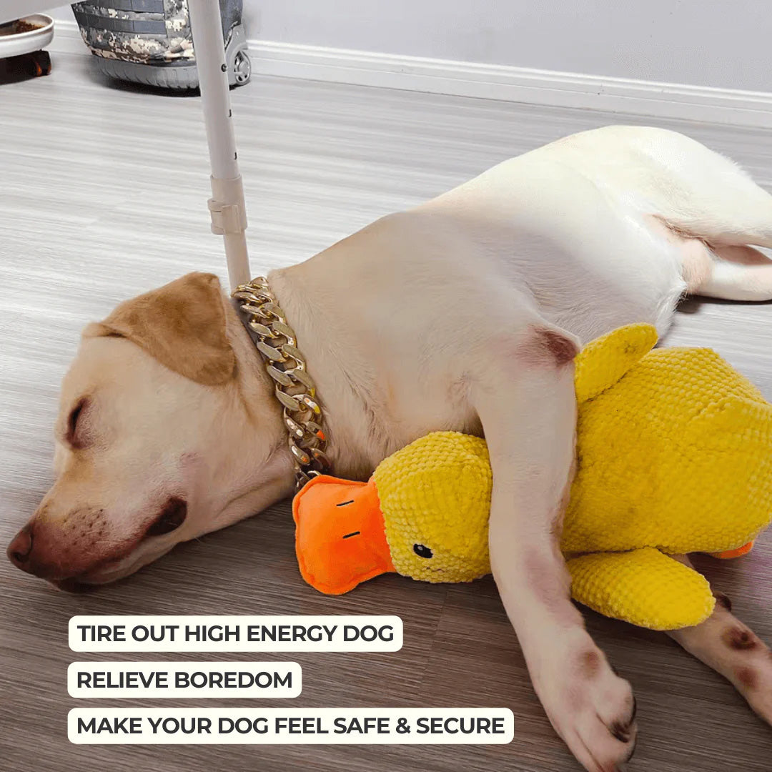 Dog Toy Plush Handcrafted Durable Squeaker