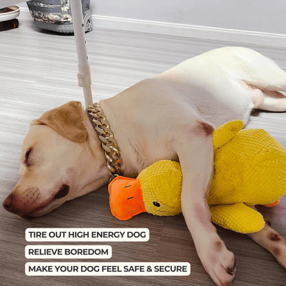 Dog Toy Plush Handcrafted Durable Squeaker