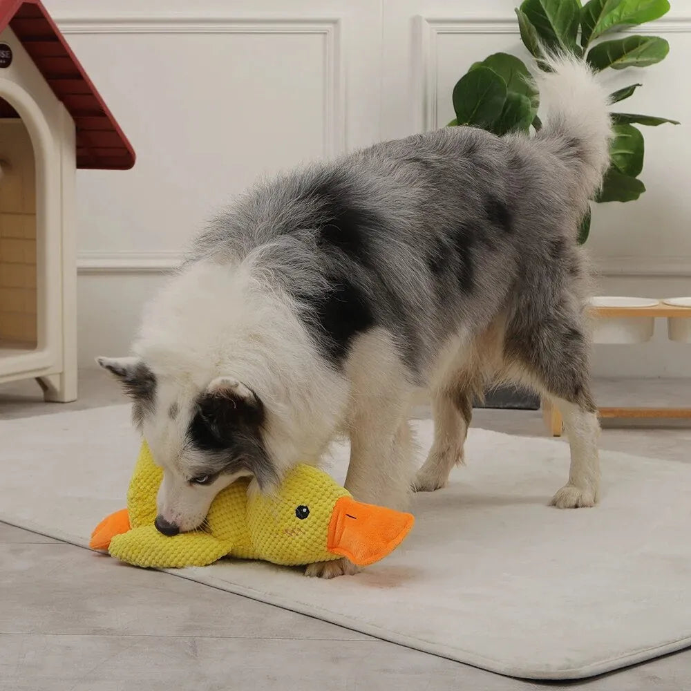 Dog Toy Plush Handcrafted Durable Squeaker