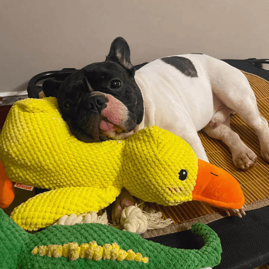 Dog Toy Plush Handcrafted Durable Squeaker