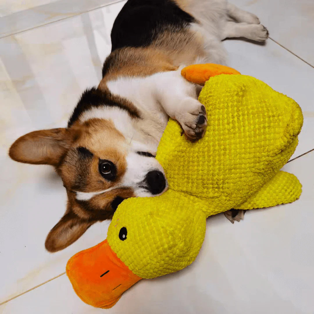 Dog Toy Plush Handcrafted Durable Squeaker