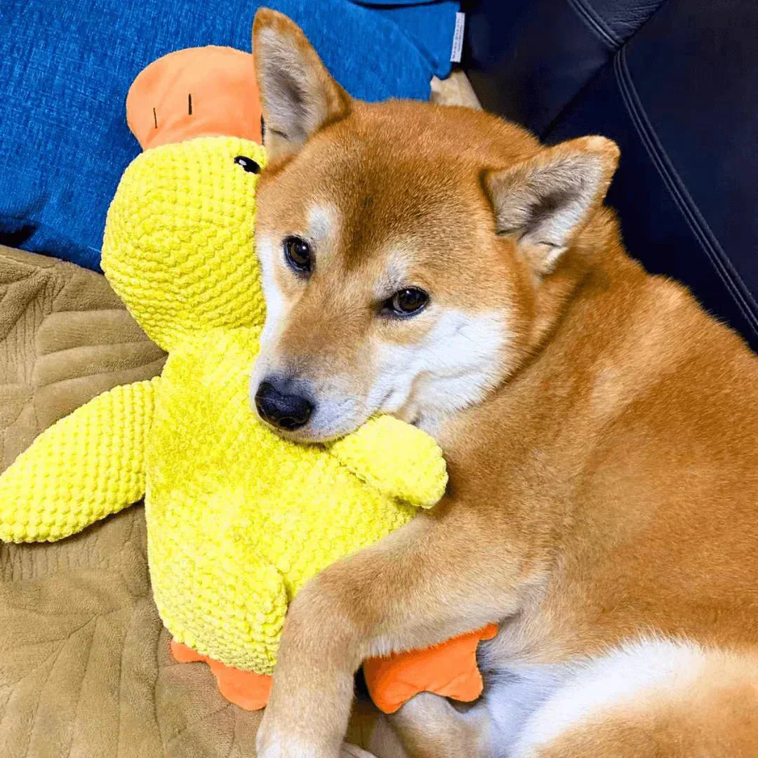Dog Toy Plush Quacking Sound-Activated