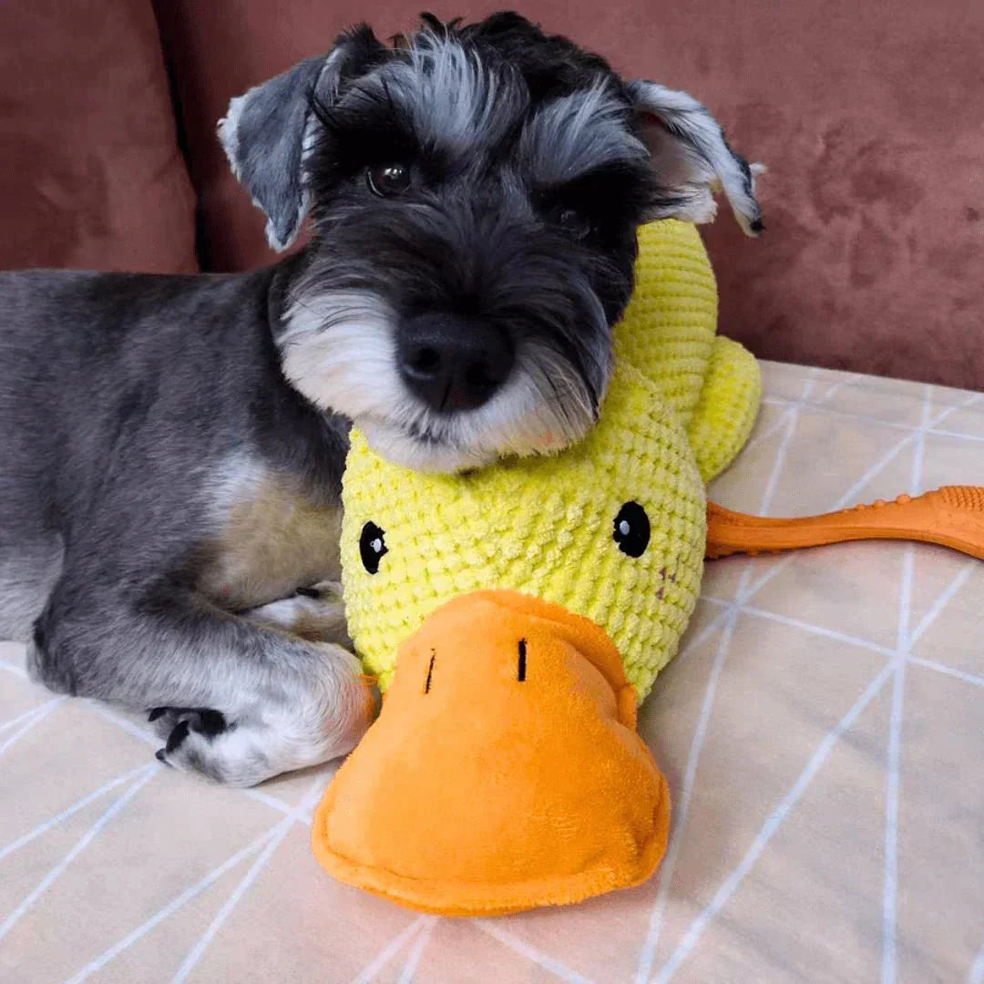 Dog Toy Plush Quacking Sound-Activated