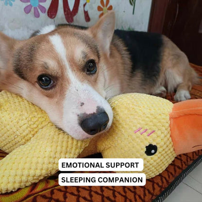 Dog Toy Plush Quacking Sound-Activated