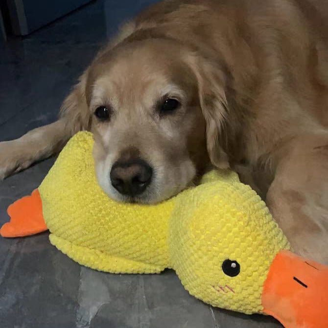 Dog Toy Plush Quacking Sound-Activated