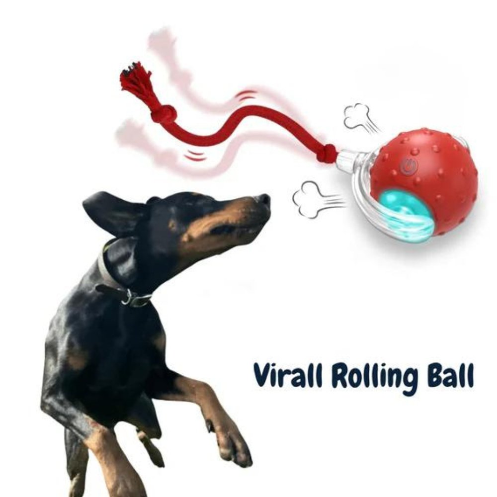 Dog Toy Self-Rolling Battery-Free Non-Toxic