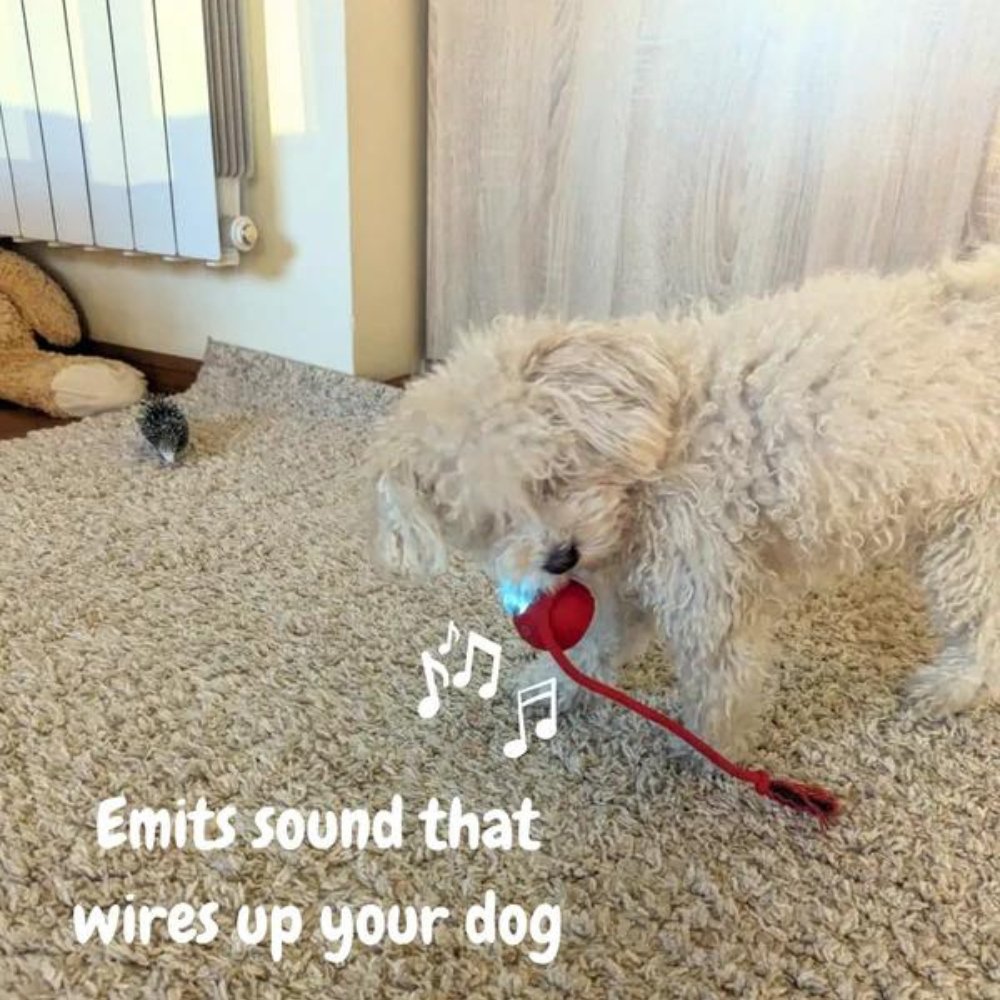 Dog Toy Self-Rolling Battery-Free Non-Toxic