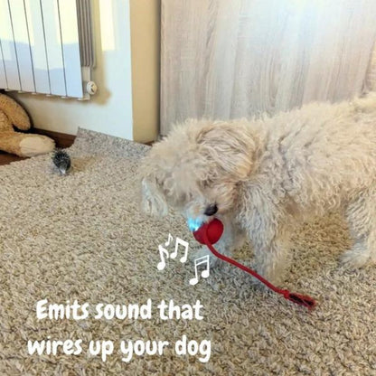 Dog Toy Self-Rolling Battery-Free Non-Toxic