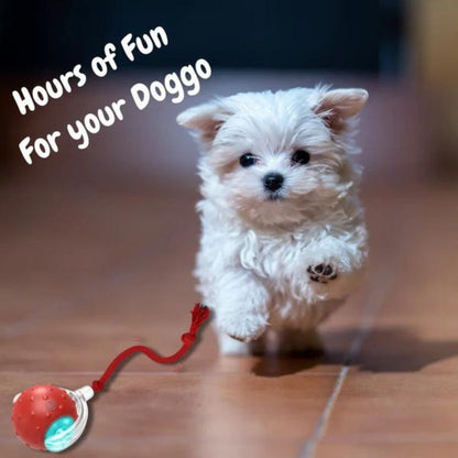 Dog Toy Self-Rolling Battery-Free Non-Toxic