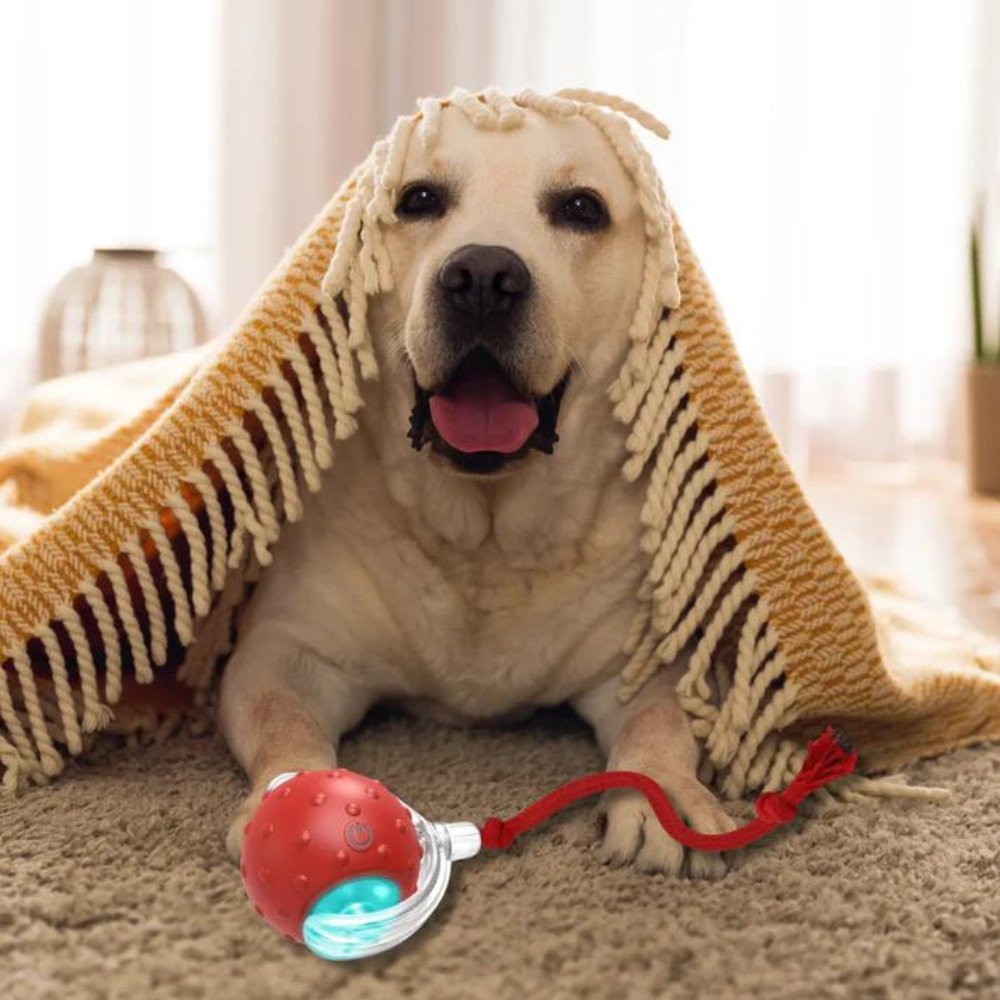 Dog Toy Self-Rolling Battery-Free Non-Toxic