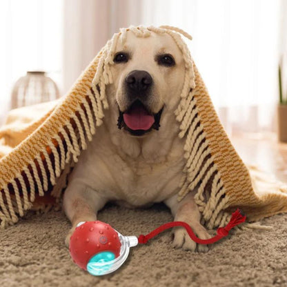 Dog Toy Self-Rolling Battery-Free Non-Toxic