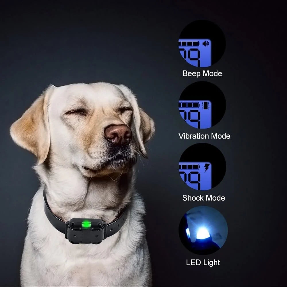 Dog Training Collar Rechargeable Water-Resistant 875-Yard Range