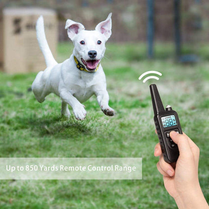 Dog Training Collar Waterproof Rechargeable 2,600-Foot Range