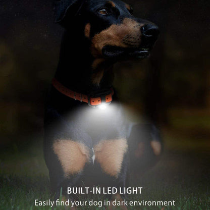 Dog Training Collar Waterproof Rechargeable 2600 Ft Range
