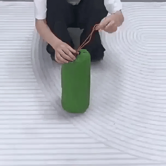Double Air Mattress Integrated Pump & Built-In Pillows