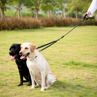 Double Dog Leash 360 Degree Swivel Shock-Absorbing Bungee
