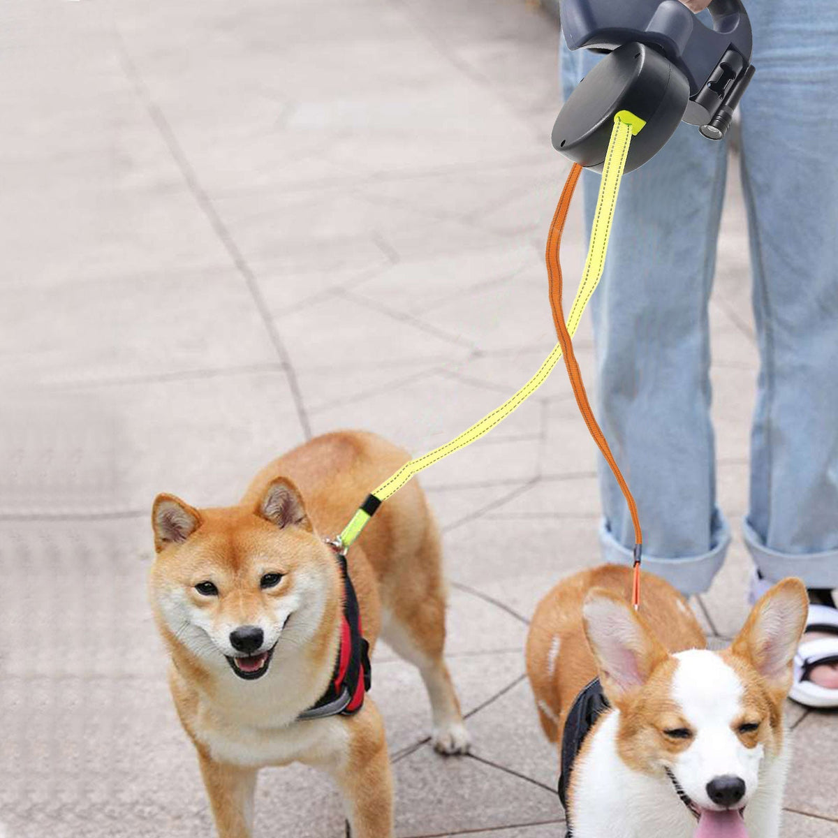 Double Retractable Leash Independent Locking LED & Reflective