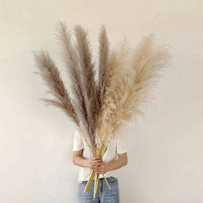Dried Pampas Grass for Bohemian Decor