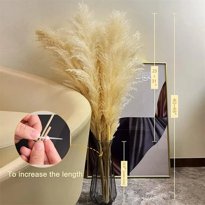 Dried Pampas Grass for Bohemian Decor