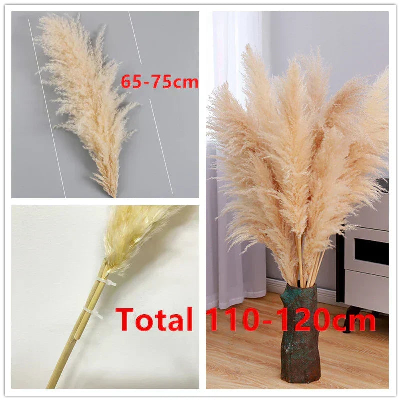 Dried Pampas Grass for Bohemian Decor