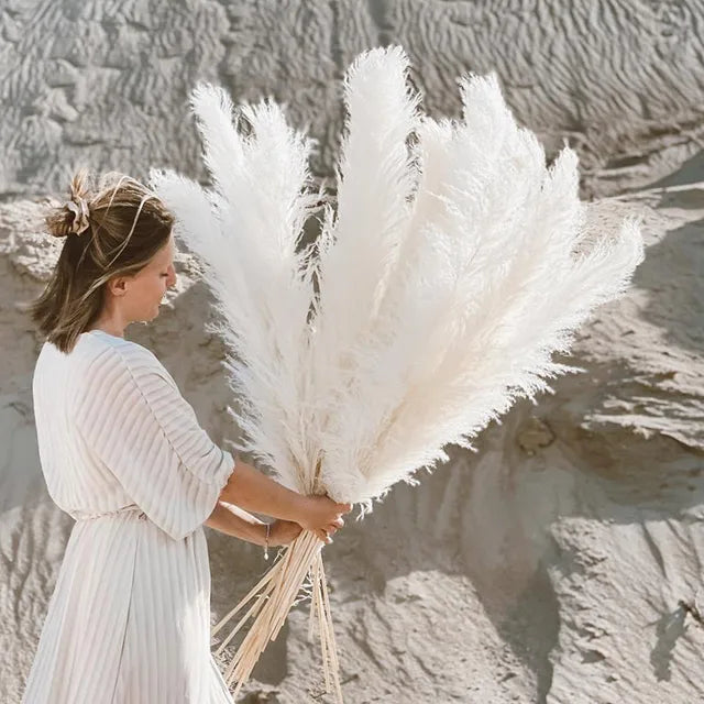 Dried Pampas Grass for Bohemian Decor