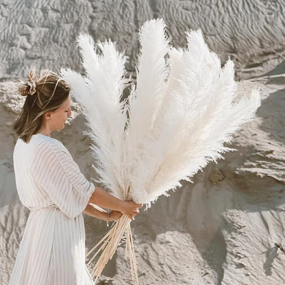 Dried Pampas Grass for Bohemian Decor